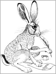 hare