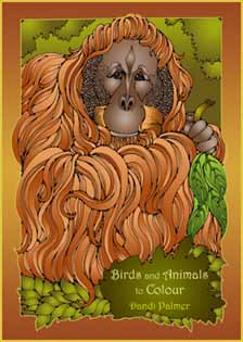 Birds and Animals to Colour