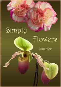 summer