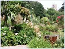 Kingsnorth Gardens