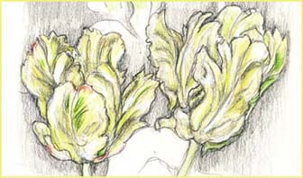 origina; sketchbook artwork