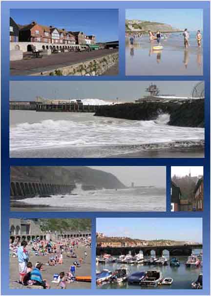 Sunny Sands